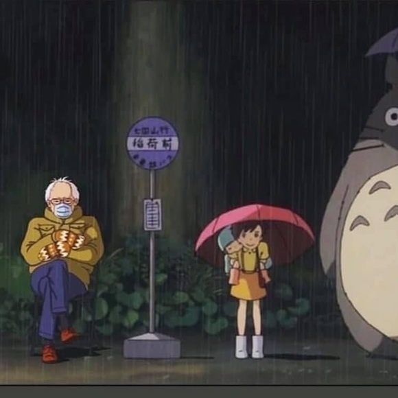 Meet your Posher, Sasha - Picture 1 of 1